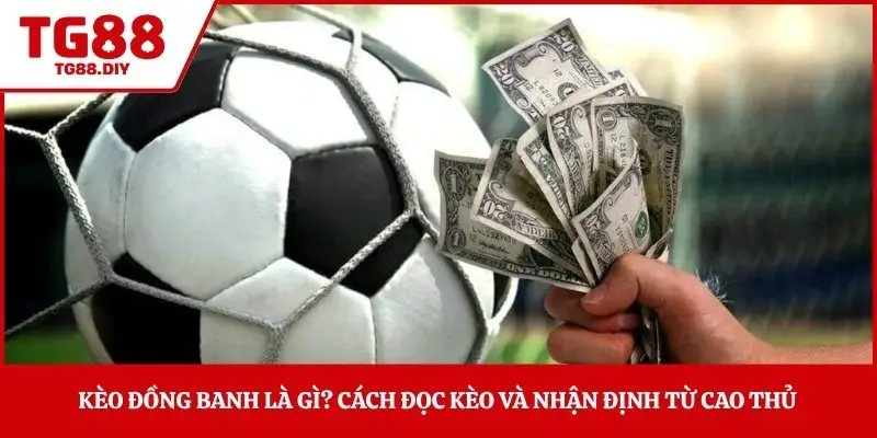 Kèo Đồng Banh Là Gì? Cách Đọc Kèo Và Nhận Định Từ Cao Thủ